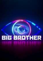 Watch Big Brother Watch123movies