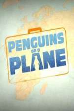 Watch Penguins on a Plane Watch123movies