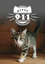 Watch Kitty 911 Watch123movies