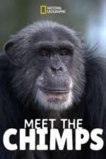 Watch Meet the Chimps Watch123movies