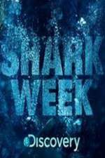 Watch Shark Week Watch123movies