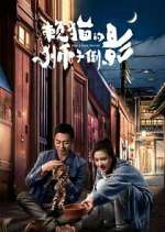 Watch The Lion's Secret Watch123movies