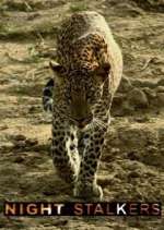 Watch Night Stalkers Watch123movies