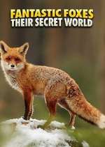 Watch Fantastic Foxes: Their Secret World Watch123movies