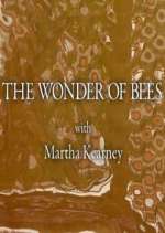 Watch The Wonder of Bees with Martha Kearney Watch123movies
