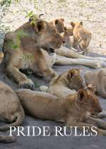 Watch Pride Rules Watch123movies