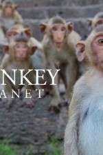 Watch Monkey Planet Watch123movies