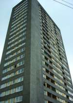 Watch High Times Watch123movies