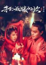 Watch Buried City to Shut All Lights Watch123movies