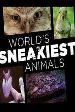 Watch World's Sneakiest Animals Watch123movies