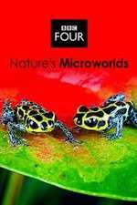 Watch Natures Microworlds Watch123movies