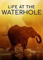 Watch Life at the Waterhole Watch123movies