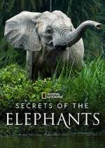 Watch Secrets of the Elephants Watch123movies