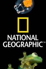 Watch Nat Geo Amazing! Watch123movies