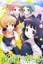 Watch Wakaba Girl Watch123movies