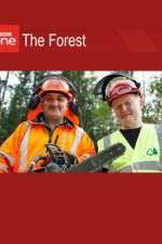 Watch The Forest Watch123movies