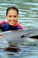 Watch Flipper (The New Adventures of Flipper) Watch123movies