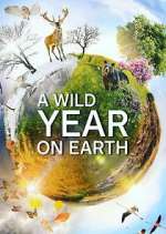 Watch A Wild Year on Earth Watch123movies