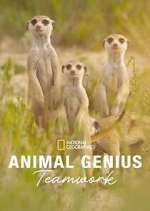 Watch Animal Genius Watch123movies