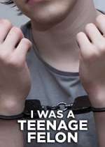Watch I Was a Teenage Felon Watch123movies