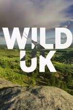 Watch Wild UK Watch123movies