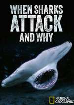 Watch When Sharks Attack... And Why Watch123movies