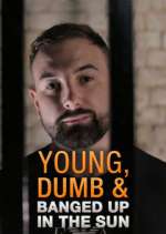 Watch Young Dumb & Banged Up in the Sun Watch123movies
