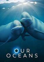 Watch Our Oceans Watch123movies