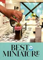 Watch Best in Miniature Watch123movies