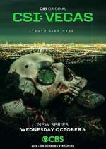 Watch CSI: Vegas Watch123movies