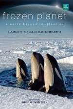 Watch Frozen Planet Watch123movies