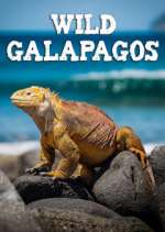 Watch Wild Galapagos Watch123movies