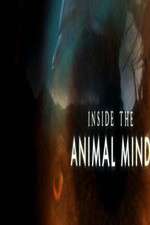 Watch Inside the Animal Mind Watch123movies
