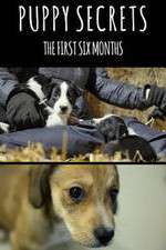 Watch Puppy Secrets: The First Six Months Watch123movies