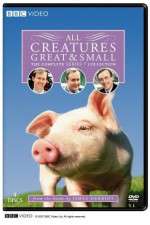 Watch All Creatures Great and Small Watch123movies