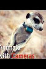 Watch Animals with Cameras Watch123movies