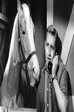 Watch Countdown to... Watch123movies