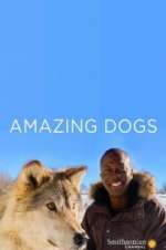 Watch Amazing Dogs Watch123movies