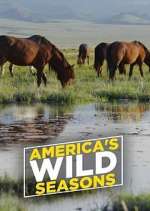 Watch America's Wild Seasons Watch123movies