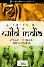 Watch Secrets of Wild India Watch123movies