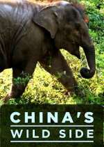 Watch China's Wild Side Watch123movies