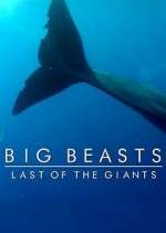 Watch Big Beasts: Last of the Giants Watch123movies