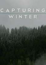 Watch Capturing Winter Watch123movies