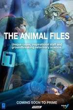 Watch The Animal Files Watch123movies