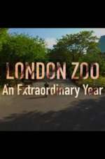 Watch London Zoo: An Extraordinary Year Watch123movies