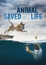 Watch An Animal Saved My Life Watch123movies