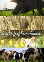 Watch Secret Life of Farm Animals Watch123movies