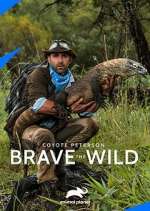 Watch Coyote Peterson: Brave the Wild Watch123movies