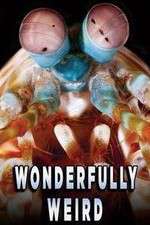 Watch Wonderfully Weird Watch123movies