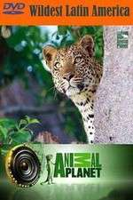 Watch Wildest Latin America Watch123movies